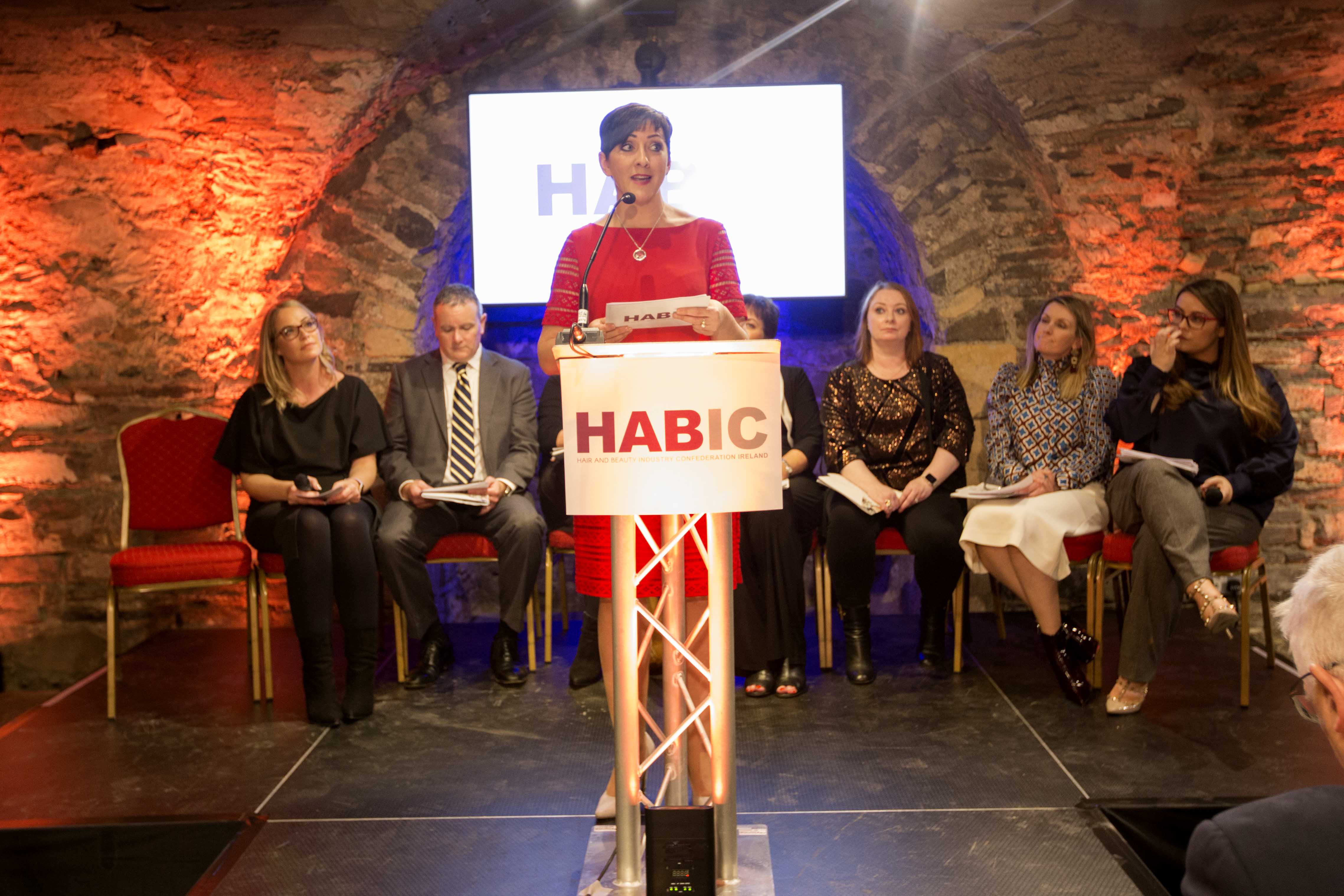 HABIC Launch Linda Ennis