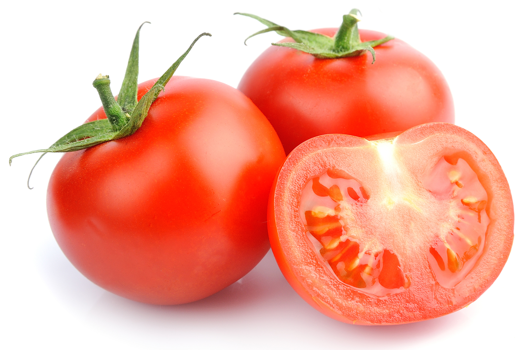 tomato 